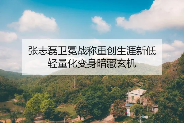 zhang-zhi-lei-wei-mian-zhan-cheng-zhong-chuang-sheng-ya-xin-di-qing-liang-hua-bian-shen-an-cang-xuan-ji-2-348.jpg