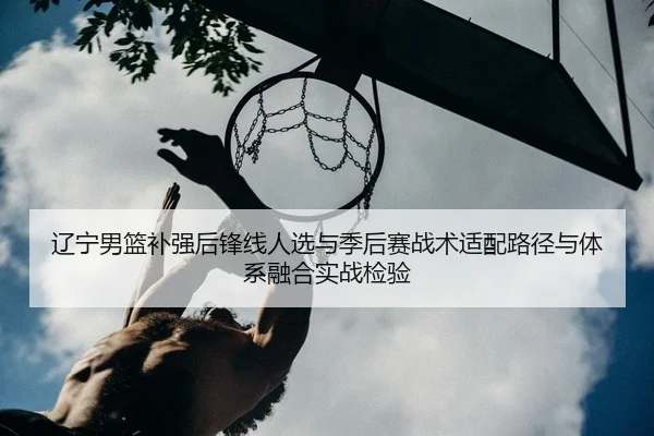 辽宁男篮补强后锋线人选与季后赛战术适配路径与体系融合实战检验
